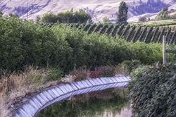 DSC_7783-575-Canal Winds through Vineyards